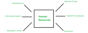 Human Resources(HR)